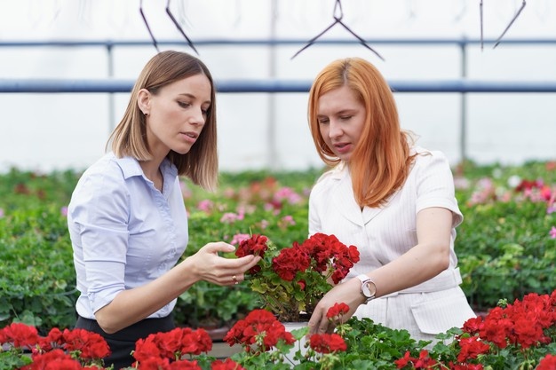 firma kaufen gmbh kaufen mit arbeitnehmerüberlassung Bedingungen gmbh anteile kaufen notar kann gmbh grundstück kaufen