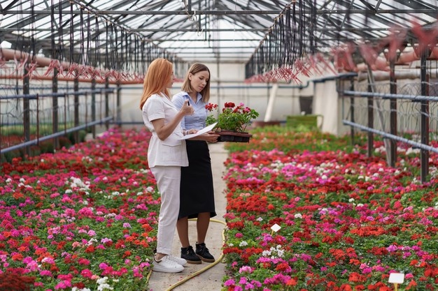 gmbh kaufen hamburg gmbh in polen kaufen Bedingungen gmbh ug kaufen firmenmantel kaufen
