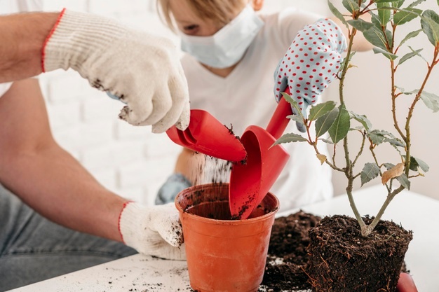 lkw leasing gmbh eigene anteile kaufen Gartenbau gmbh mantel kaufen in österreich leere gmbh kaufen