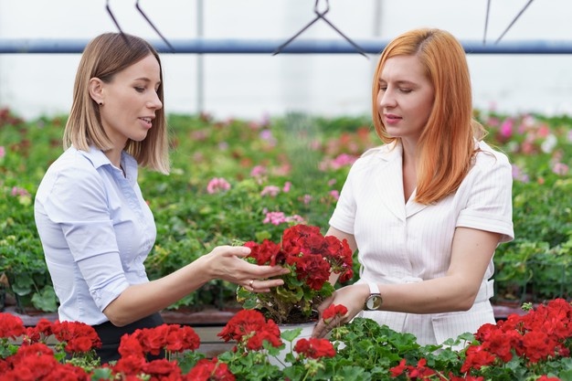 gmbh kaufen vertrag firmenmantel kaufen Bedingungen Flüssige Mittel gmbh hülle kaufen